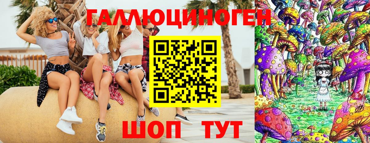 Павлово  Псилоцибиновые грибы GOLDEN TEACHER  Вход с VPN 